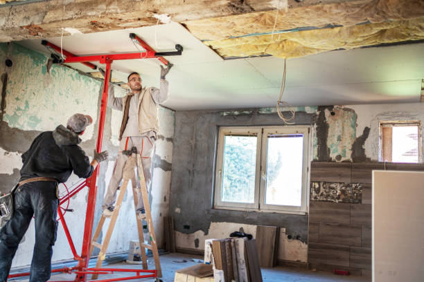 Best Insulation Maintenance and Repair in Monroe, GA